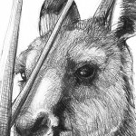 Detail D of Portrait of Kangaroo 45 by Michael Chorney