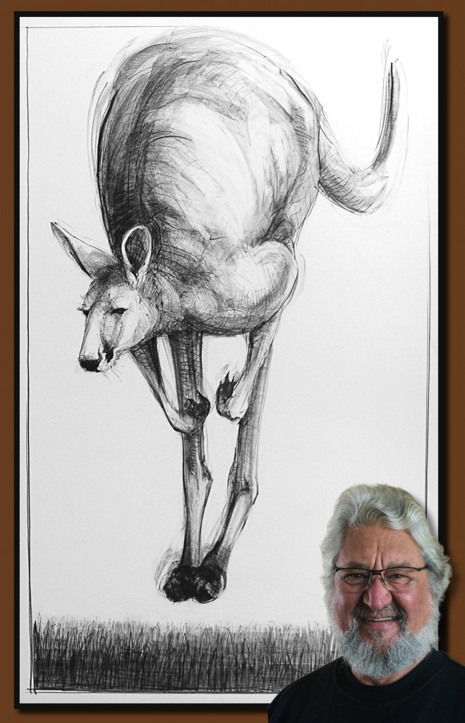 Drawing-of-Kangaroo-53 with Michael Chorney